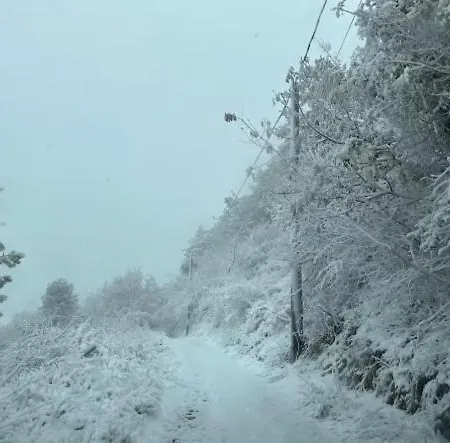 бунгало, българия Κάμπινγκ