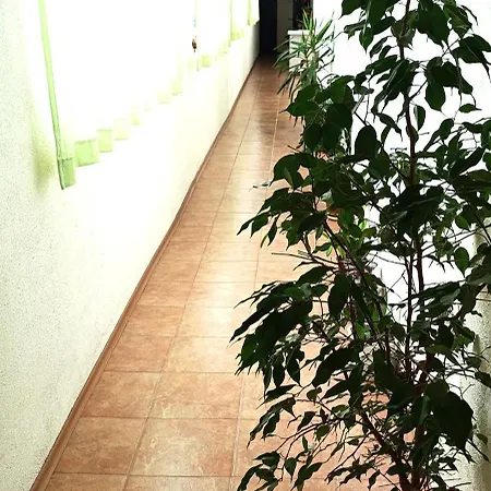 ,,лозница гт